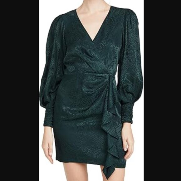 Parker Dark Green Silk Wrap Dress Size 4 / Small - Picture 1 of 15